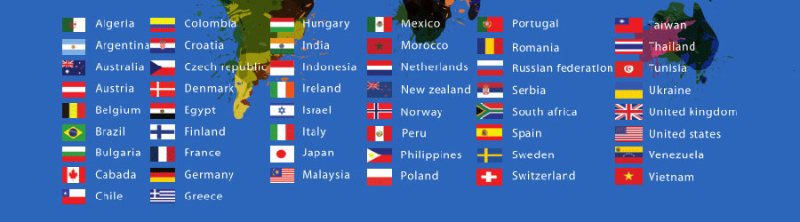 外贸独立站优化小语种网站建设  第1张