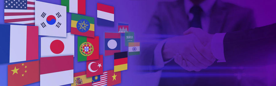 外贸独立站优化小语种网站建设  第2张